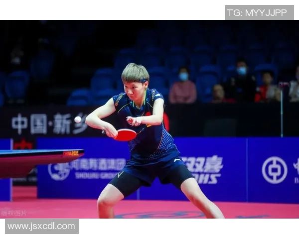 上海乒乓球队区域防守革新之路探秘与未来展望